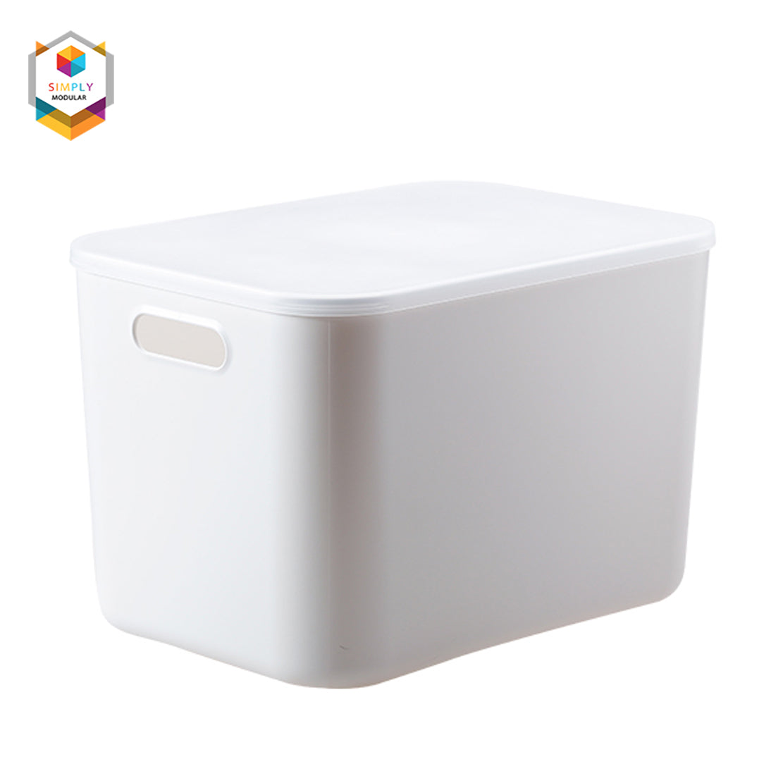 Shimoyama Muji Style Large Gray Deep Storage Box Organizer with Lid (S